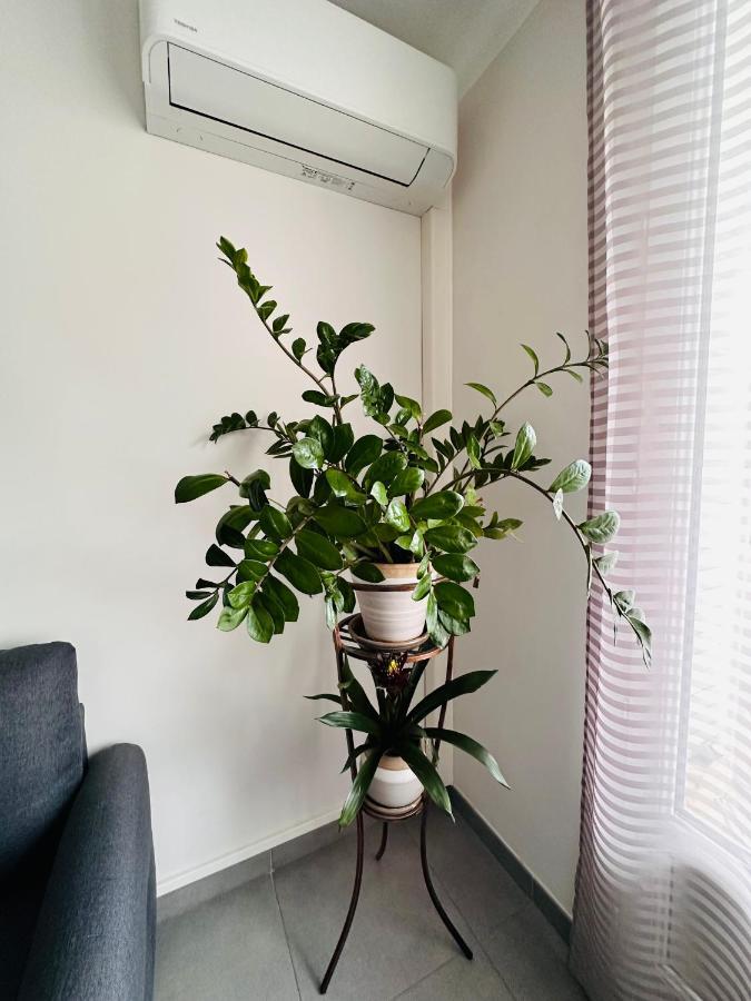 Le Soulier De Notre Dame Apartment Марсилия Екстериор снимка